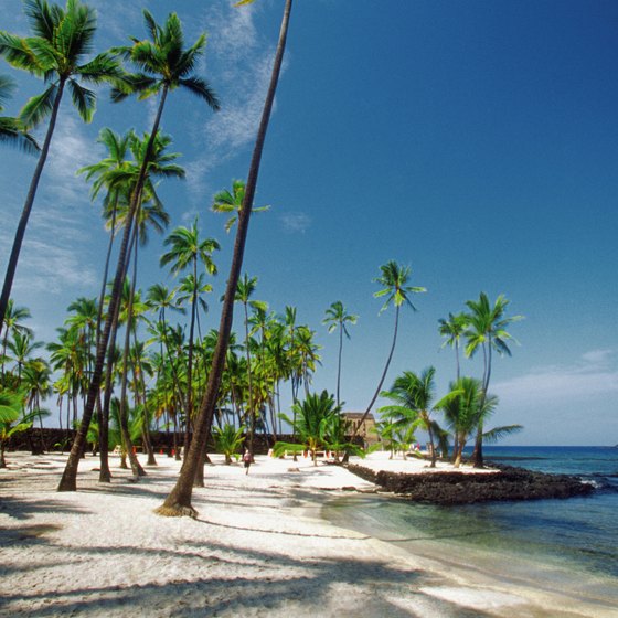 Honaunau Bay offers excellent snorkeling next to Pu'uhonua Honaunau National Historical Park near Camp Hookena in South Kona.