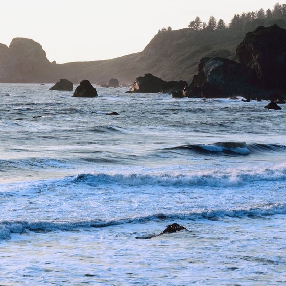 The chilly waters off Crescent City attract more surfers than swimmers.