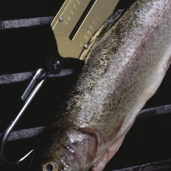 You can catch trout at cold-water lakes near McNary.