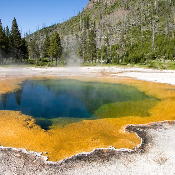 Yellowstone's hot springs aren't suited for swimming, but nearby are swimmer-friendly waters.