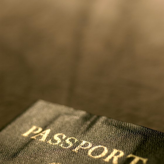 In most cases just your passport will get you into Germany.