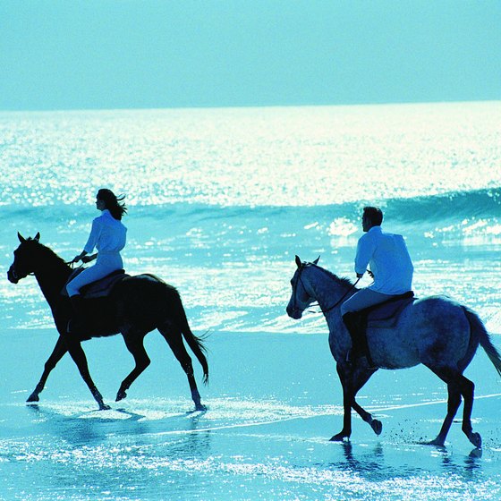 Riding at the water's edge is one of the delights of horsebacking on the coast.