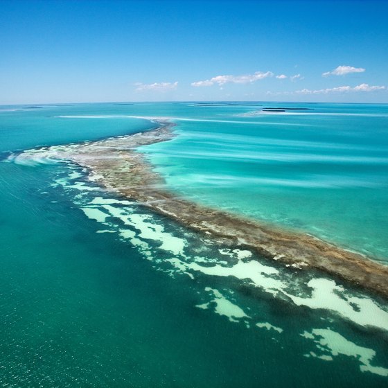The calm, blue waters of the Florida Keys make dinner cruises a special attraction.