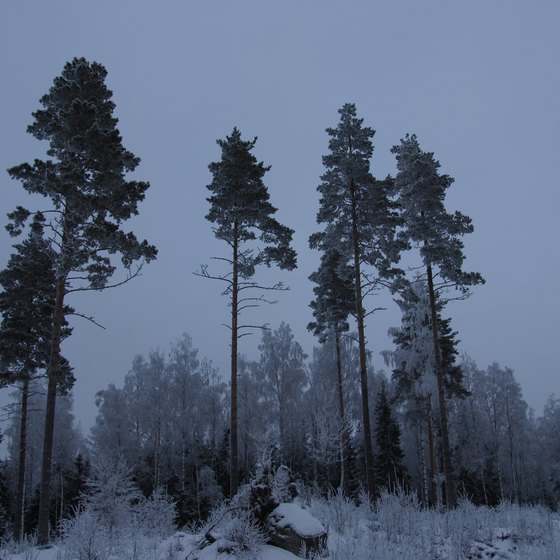 Finland's forested wilderness conceals some intriguing landmarks.