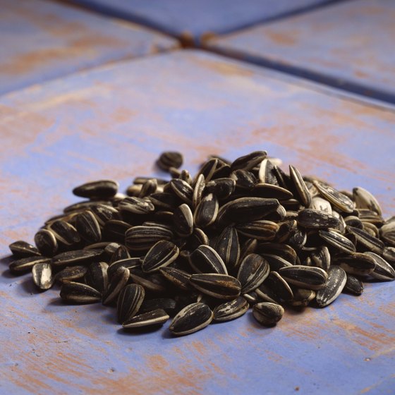 are-sunflower-seeds-bad-for-you-healthy-living