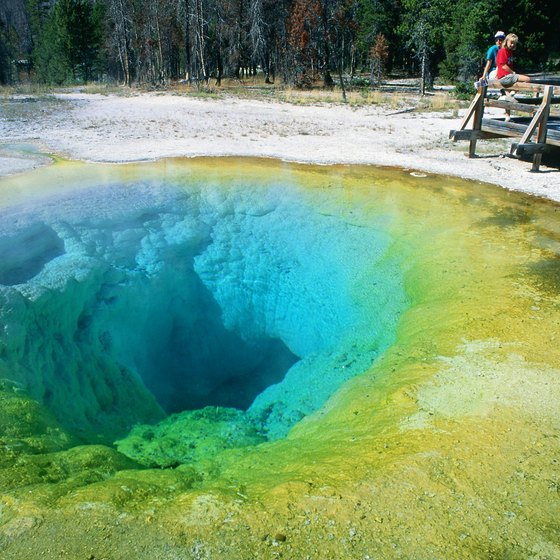 The hot springs of Yellowstone National Park make an out of the ordinary bus stop.