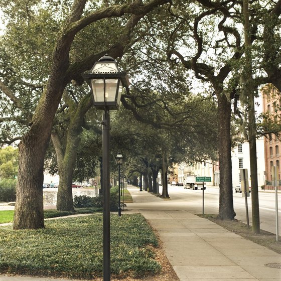 Many walking tours take you through Savannah's squares.