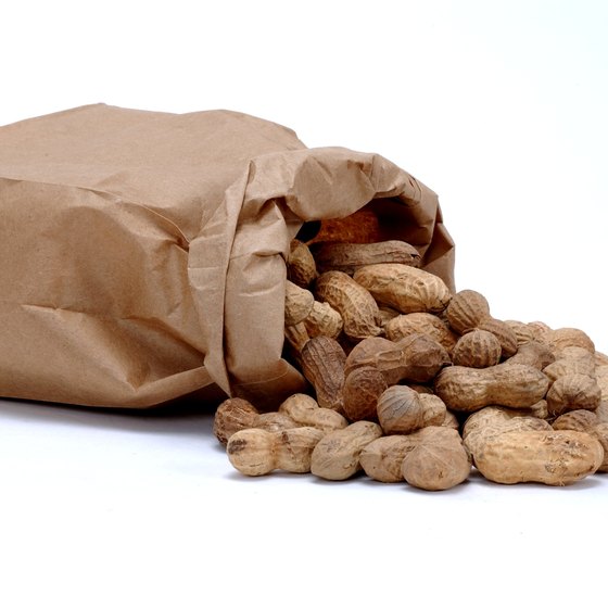 Peanuts are one of the largest crops in southwest Texas.