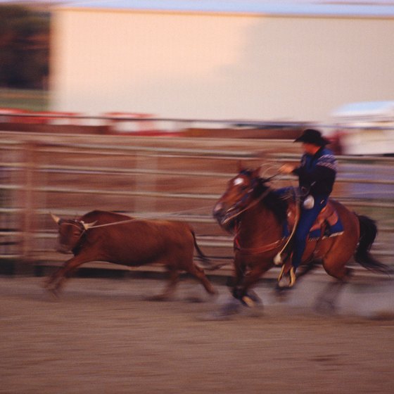 Hold your breath as cowboys wrangle and ride at the San Antonio Stock Show & Rodeo.