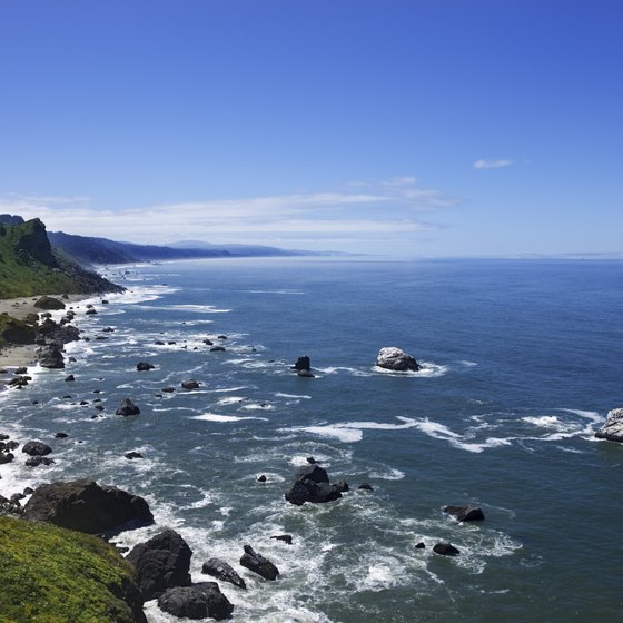 Many state beaches in California provide overnight camping facilities, including for RV camping.