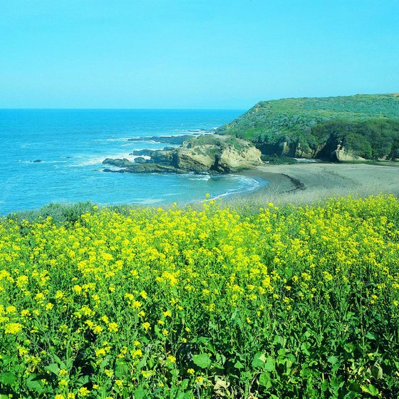 Morro Bay lies along the rugged coast of Central California.