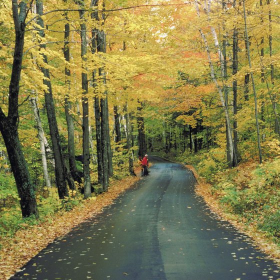 Smaller roads in woodland areas have less traffic.