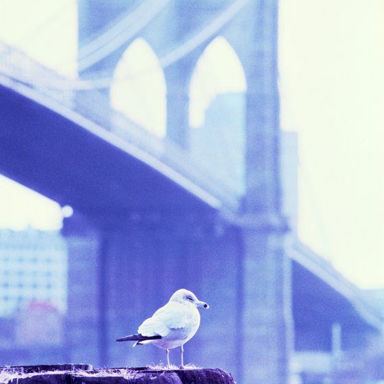 In the pre-skyscraper era, the Brooklyn Bridge towers were the city's highest structures.