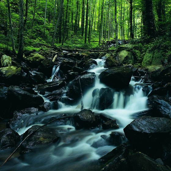 Amicalola Falls cascades in different sections down the mountainside.