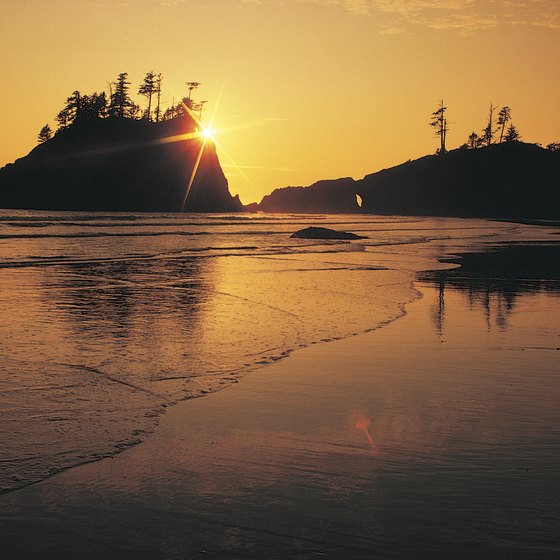 Rugged cliffs and long beaches make up Washington's Pacific coastline.