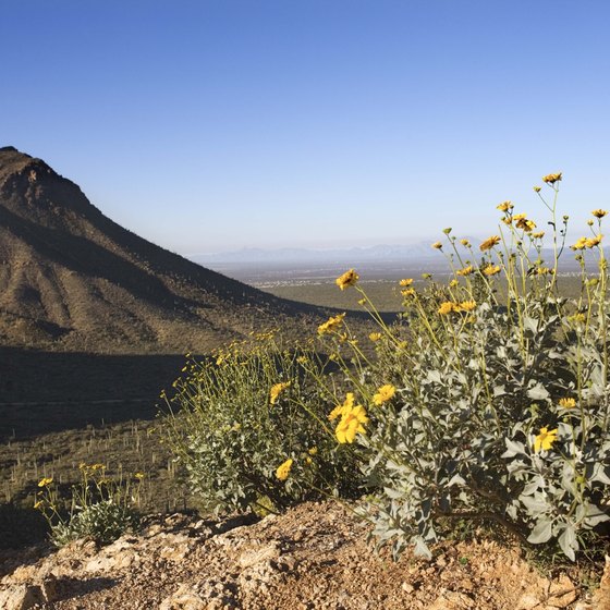 More than 15 miles of trail wind through Thunderbird Conservation Park.