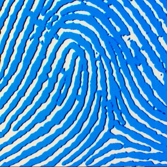 Create a digital image of your fingerprint with a fingerprint scanner.