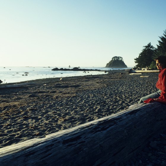 Washington state's coastline boasts rocky shores and miles of beaches.
