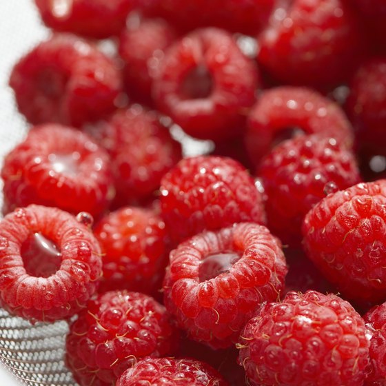 Raspberry marketing strategies are based on the size of the producer.