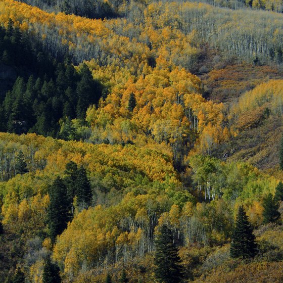 Take a colorful autumn hike near Gold Hill.