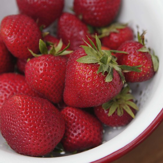 Strawberries are usually the first fruit to ripen in Ponchatoula.