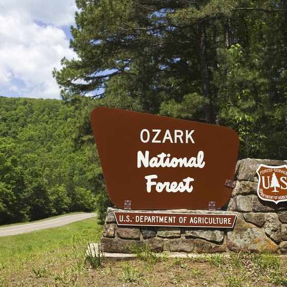 Ozark National Forest has trails and roads to drive your jeep.