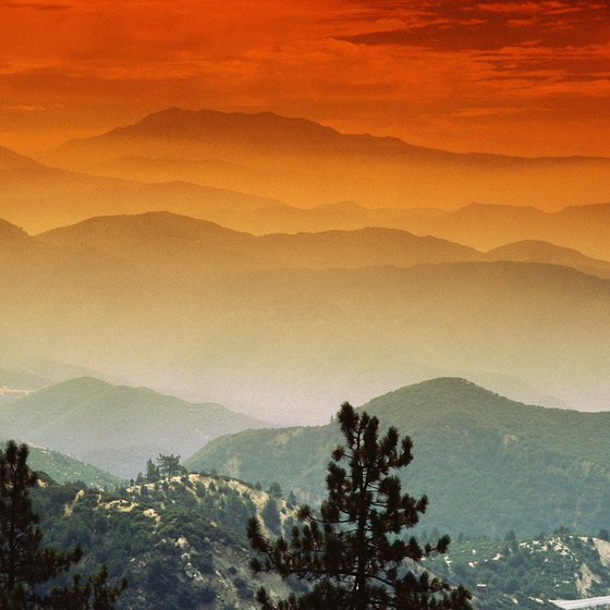 Chaparral cloaks mountain foothills in much of California.