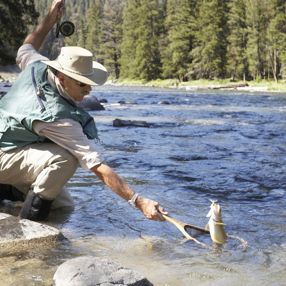 The Conejos River attracts fishermen angling for trout.