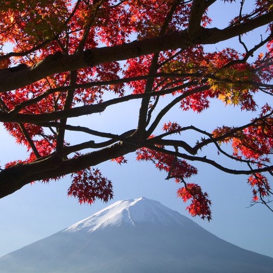Mount Fuji stands 3,776 meters above sea level.