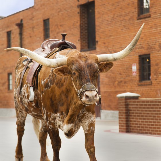 The historic Fort Worth Stockyards is one of the stops on the Grapevine Vintage Railroad.