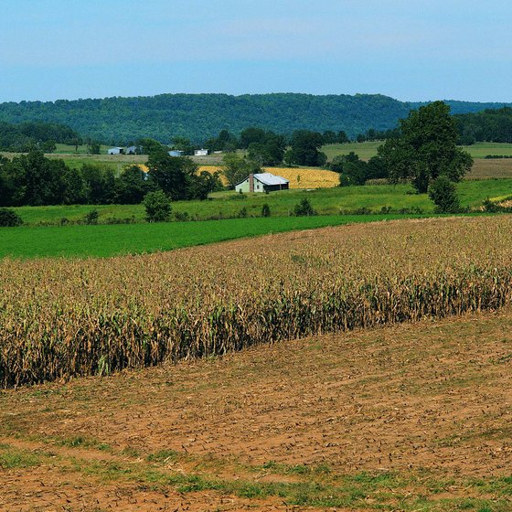 Mammoth Cave is hidden beneath Kentucky farmland.