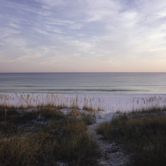 Florida's east and west coasts offer great camping opportunities.