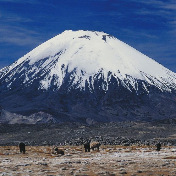 Parinacota is one of hundreds of volcanoes that emerge from the Chilean landscape.