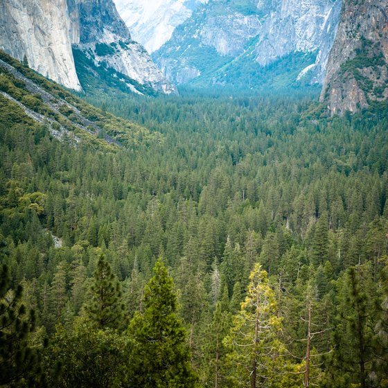 Yosemite Valley proves to be a striking sight.