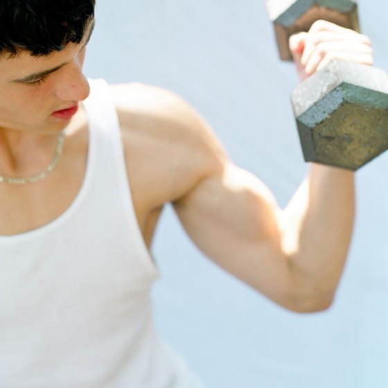 differences between biceps and triceps healthy living