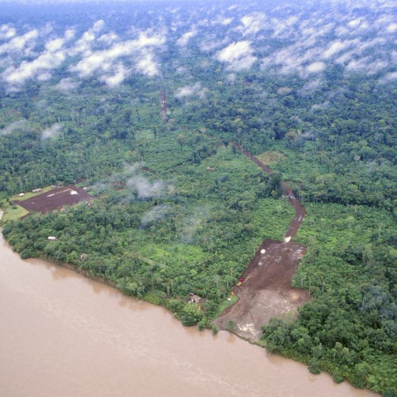 the Amazon Rainforest is one of the world's greatest natural wonders