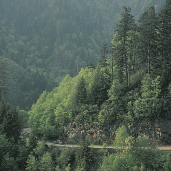 Appalachian rail lines climb mountains and dip into gorges.