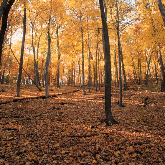 Enjoy the autumn colors while vacationing in the Poconos.