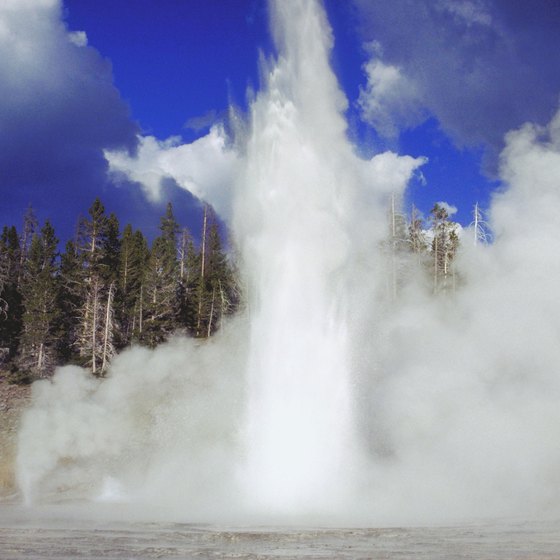 Yellowstone's thermal features necessitate following safety regulations.