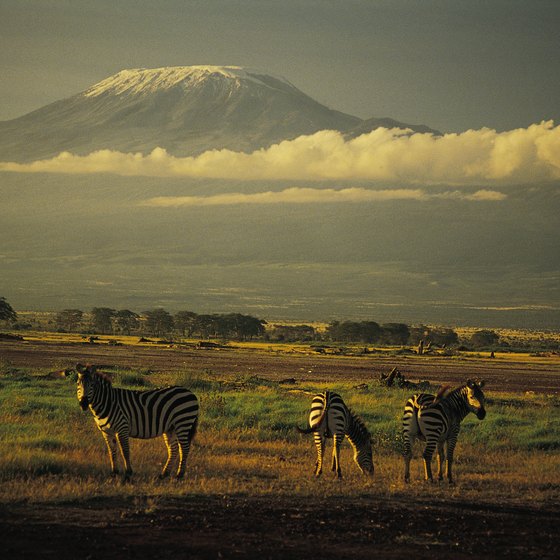 Mount Kilimanjaro, which looms over game-rich plains, is Africa's highest mountain.