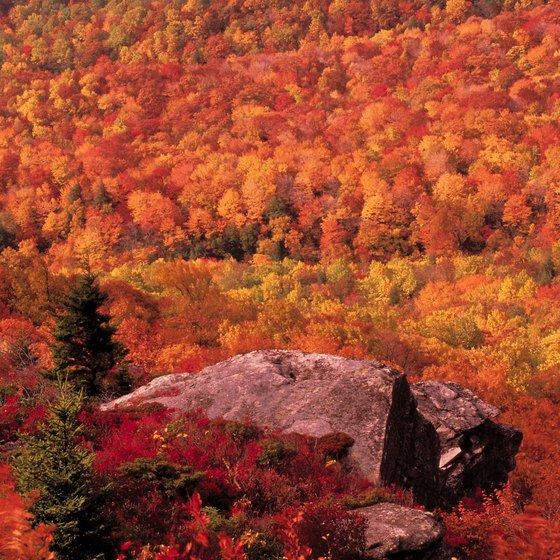 Vivid autumn colors line the Blue Ridge Parkway in North Carolina.