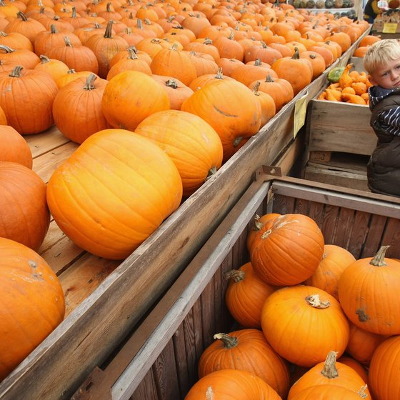 Neu-Ulm's central farmers market is another fun attraction.