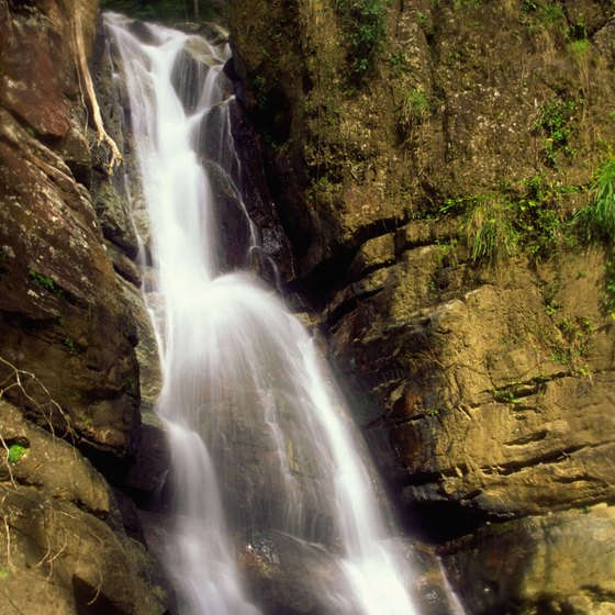 El Yunque has gorgeous waterfalls not far off the beaten path.