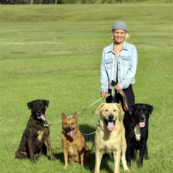 Pet owners often see caregivers as part of their family.