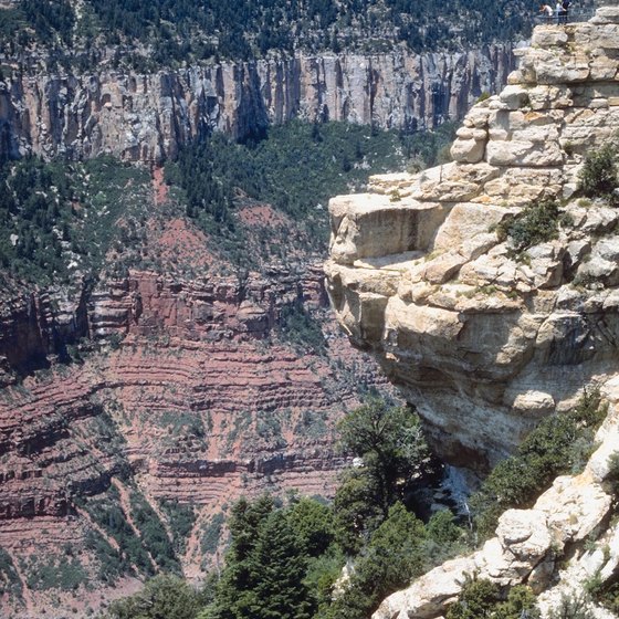 The Colorado River flows through the Grand Canyon.