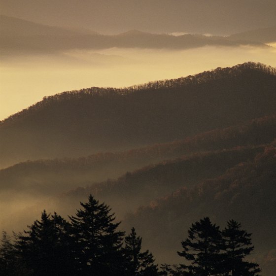 Wake up early to watch a romantic sunrise over the Smoky Mountains.