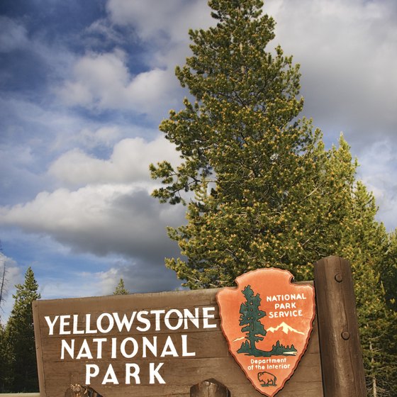 Don't miss Lamar Valley during your Yellowstone vacation.