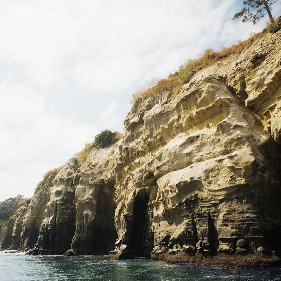 Families can view La Jolla's sea caves on kayak tours.