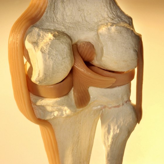 torn-knee-ligament-symptoms-healthy-living