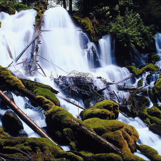 Waterfalls in Umpqua National Forest.